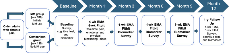 Study procedure overview. EMA: ecological momentary assessment; MM: medical marijuana.