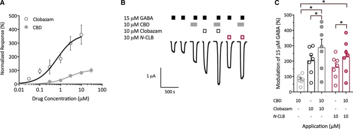 Interaction between cannabidiol (CBD) and clobazam at α1β2γ2 γ‐aminobutyric acid (GABA)A receptors. A, Concentration‐response curves for clobazam (black) and CBD (gray) at GABAA receptors. Clobazam and CBD modulate currents evoked by 15 μmol/L GABA. Data are shown as mean ± standard error of the mean (SEM) fit to the Hill equation, with n = 4 per group. B, Representative trace of currents evoked by GABA applied alone or in the presence of CBD, clobazam, or N‐desmethylclobazam (N‐ CLB) individually or in combination in oocytes expressing the GABAA receptor. C, Paired modulation of 15 μmol/L GABA by CBD (gray, open symbols), clobazam (black, open symbols), N‐ CLB (red, open symbols), CBD and clobazam (gray, closed circles) and CBD and N‐ CLB (red, closed circles). Error bars represent SEM, with n = 7 (*P < 0.05; paired one‐way analysis of variance (ANOVA) followed by Dunnett's post hoc test)