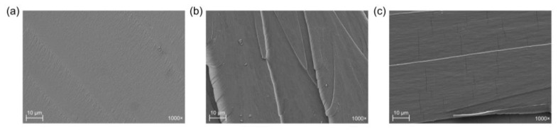 Field Emission Scanning Electron Microscopy (FESEM) images of the fracture surface of the samples at 1000×: (a) 100MNA, (b) 75MNA25MHO and (c) 50MNA50MHO.