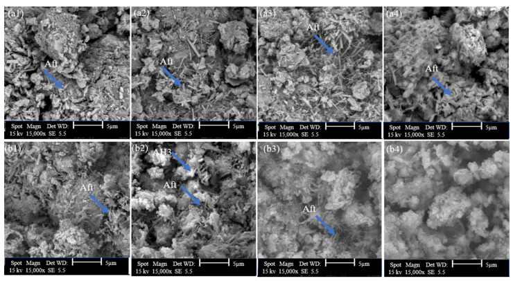 SEM diagrams of CSA cement with and without lixiviate (a) 12 h of hydration and (b) 7 days of hydration: (a1,b1) with DW, (a2,b2) 0.5%, (a3,b3) with 2% and (a4,b4) with 5% hemp hurds lixiviate.