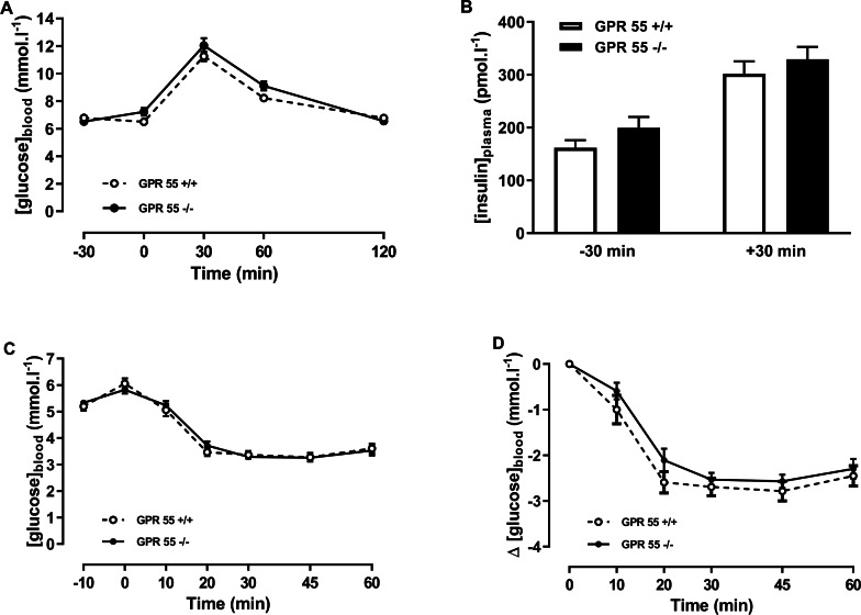 Glucose and insulin tolerance in GPR55 knockout and wild-type mice fed on a standard chow diet.Blood glucose concentration (A) and plasma insulin (B) before and after a glucose load (t = 0 min) at age 16 weeks after a 5 h fast, and blood glucose concentration expressed as absolute values (C) or change from t = 0 min (D) following an insulin load (t = 0 min) at age 20 weeks after a 5 h fast. Two-way ANOVA showed no effect of genotype on blood glucose in the tolerance test, although Fisher’s LSD test suggested that blood glucose was higher in the knockout mice at 60 min (P < 0.05). There was no statistically significant difference by two-way ANOVA in plasma insulin at t = − 30 or t = + 30 in the OGTT. Nor was there any difference between genotypes in blood glucose levels following an insulin load.