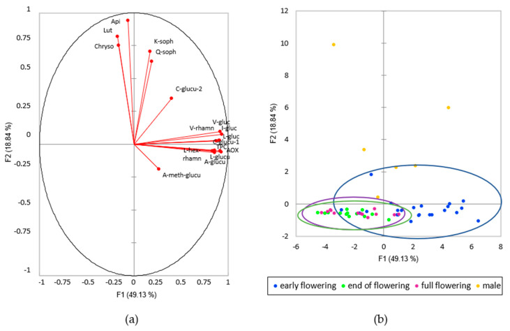 Principal Component Analysis (PCA) of the flavonoid profile, total phenolic content and antioxidant activity of the different hemp cultivars; (a) direction of each of the compounds analysed on the first two principal components; (b) biplot of the first two principal components of PCA. Colours represent the phenological stage.