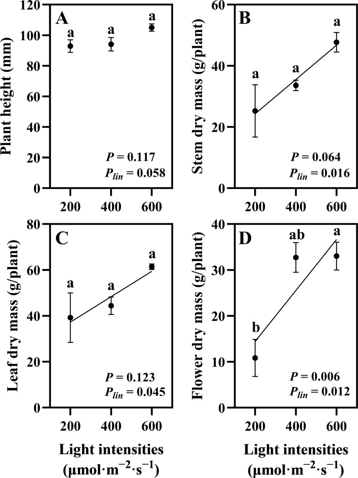 Four graphs show the effect of light intensities on plant growth metrics. Graph A shows plant height, which remains stable across light intensities, with P-values of 0.117 and 0.058. Graph B indicates an increase in stem dry mass with higher light intensities, with P-values of 0.064 and 0.016. Graph C shows leaf dry mass also increasing with light, with P-values of 0.123 and 0.045. Graph D presents flower dry mass significantly increasing with light intensity, showing P-values of 0.006 and 0.012. Each graph includes error bars and significance annotations.