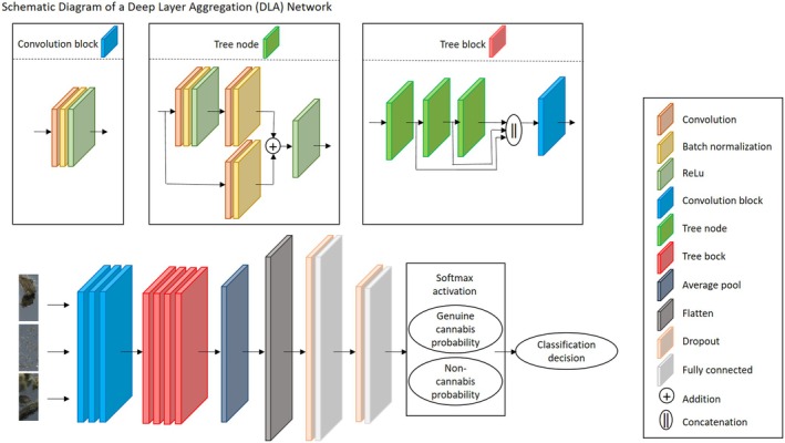 Architecture of the deep layer aggregation (DLA) network. This network introduces a hierarchical structure with tree modules to aggregate features across multiple scales. Input color images with 512 × 214 pixel resolution are processed through three initial convolutional blocks. Each block consists of a convolution, batch normalization, and ReLU activation, outputting 16, 32, and 32 feature maps, respectively. The hierarchical core of the DLA consists of four tree modules. Each module contains multiple tree nodes, which aggregate features from previous layers using addition and/or concatenation operations via skip connections. The feature map dimensions progressively increase, with the tree modules producing 64, 128, 256, and 512 feature maps, respectively. After feature aggregation, the network applies a global average pooling layer, reducing the spatial dimensions of the feature maps. Two fully connected layers are used for classification. Dropout layers are incorporated after each fully connected layer to reduce overfitting. A final softmax activation outputs the probability scores for each class, with the class having the higher probability selected as the predicted label.