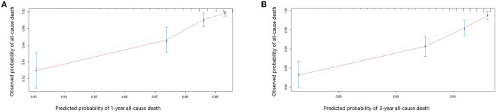 Calibration curves showing the probability of 1- year (A) and 3-year (B) all-cause death between the nomogram prediction and the actual observation.