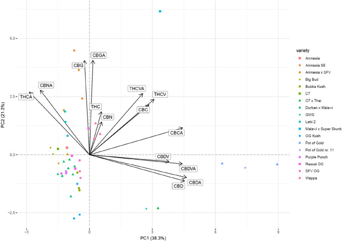 Loading plot (biplot) for the PCA of the targeted workflow. Eigenvectors are indicated by black arrows. The length and direction of these eigenvectors correspond to their contribution to the dimensions PC1 and PC2. Cannabinoids of the CBD type are largely contributing to the distinction between phenotypes I and II. THCA and CBNA are pointing in the opposite direction and are therefore more indicative for varieties belonging to phenotype I. CBG and CBGA are expressed at elevated levels for the variety Amnesia S5