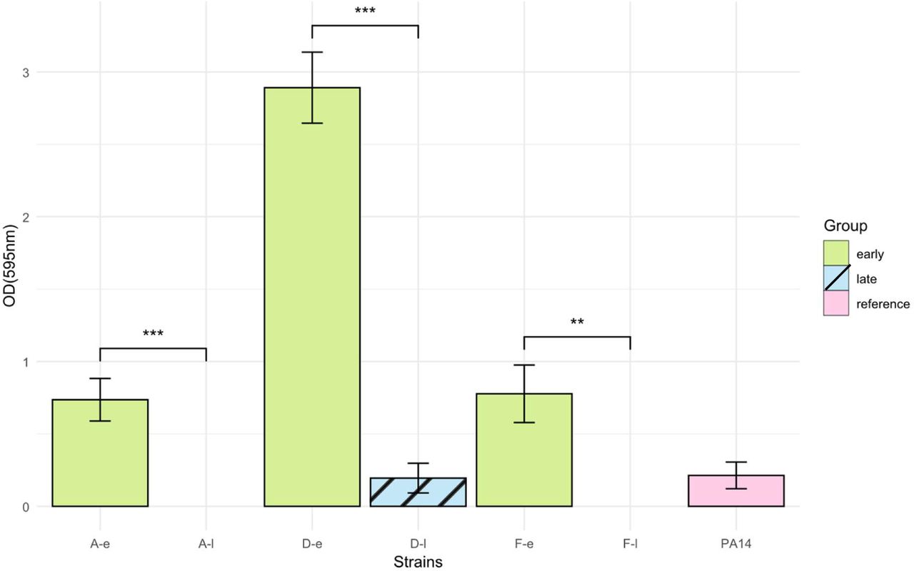 Biofilm formation of early and late isolates from patients A, D and F when cultured in HU. Error bars represent the standard deviations of three independent experiments. Statistical significance was determined as p ≤ 0.05 using a two-sample Student’s t-test for independent samples.
