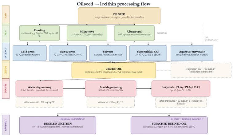 Process flow from oilseed to deoiled lecithin and refined oil. Dashed boxes indicate residual phosphorus targets at each refining stage. Numerical parameters compiled from [1,2,8,20,21,24,25].