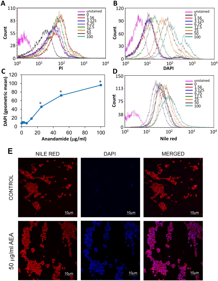 AEA leads to a dose-dependent accumulation of DAPI. (A) Propidium iodide (PI) uptake of MDRSA CI-M treated with increasing concentrations of AEA for 2 h as determined by flow cytometry. (B) DAPI uptake of MDRSA CI-M treated with increasing concentrations of AEA for 2 h as determined by flow cytometry. (C) A summary of the geometric mean fluorescence intensity of DAPI accumulation in the AEA-treated bacteria presented in B. (D) The fluorescence intensity of nile red membrane staining of control and AEA-treated bacteria as determined by flow cytometry. (E) Spinning disk microscopy of control and 2 h AEA-treated MDRSA CI-M that were stained with nile red (red fluorescence) and DAPI (blue fluorescence). *p < 0.05.