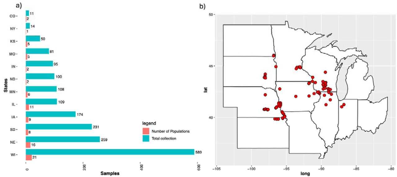 Feral Cannabis collection. (a) Bar plot showing total number of individual feral Cannabis accessions collected by state alongside the number of populations sampled. (b) Midwestern map showing geographical distribution of sampled locations (Colorado and New York excluded).