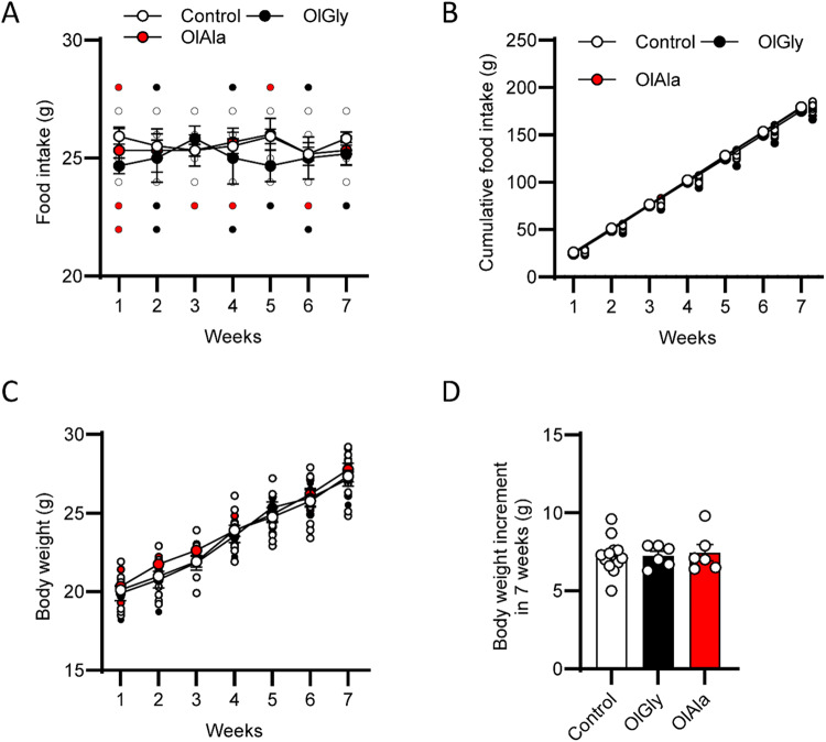 OlGly and OlAla do not alter food intake and body weight by chronic treatment in mice under a standard chow diet.A Effect OlGly (50 mg/Kg) or OlAla (50 mg/Kg), on food intake of mice fed with chow. B Cumulative food intake (g). C Body weight changes following OlGly (50 mg/Kg) or OlAla (50 mg/Kg) administration. D Effect of OlGLy or OlAla on the the weight of mice after 7 weeks of treatment. n = 12 vehicle, n = 6 OlGly, n = 6 OlAla.