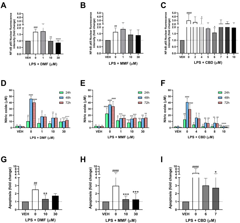 Immunomodulatory effects of dimethyl fumarate (DMF), monomethyl fumarate (MMF), and cannabidiol (CBD) in microglia. (A–C) Effect of DMF (A), MMF (B), and CBD (C) on the activation of NF-kB p65. Microglia cells were treated for 30 min with either vehicle (VEH), lipopolysaccharide (LPS), or LPS in combination with DMF, MMF, or CBD. Bars represent the fold change of the mean nuclear fluorescence intensity of NF-kB p65 in the drug-treated cells compared to the vehicle (represented by black dotted lines). (D–F) Effect of DMF (D), MMF (E), and CBD (F) on the production of nitric oxide (NO). Microglia cells were treated for 24, 48, or 72 h with either the VEH, LPS, or LPS in combination with DMF, MMF, or CBD. Bars represent the concentration (µM) of NO. (G–I) Effect of DMF (G), MMF (H), and CBD (I) on neuronal apoptosis. Neurons were cultured for 4 h with microglia-conditioned medium. Microglia had been previously treated with the VEH, LPS, or LPS in combination with DMF, MMF, or CBD for 48 h. Bars represent the fold change of the number of apoptotic cells (mean ± standard deviation) in the drug-treated cells compared to their respective vehicle. (A–I) Data are representative of three different experiments. # p < 0.05, ## p < 0.01, ### p < 0.001, #### p < 0.0001 LPS compared to the vehicle (Mann–Whitney test); * p < 0.05, ** p < 0.01, *** p < 0.001, **** p < 0.0001 LPS + drug compared to LPS (Kruskal–Wallis test).