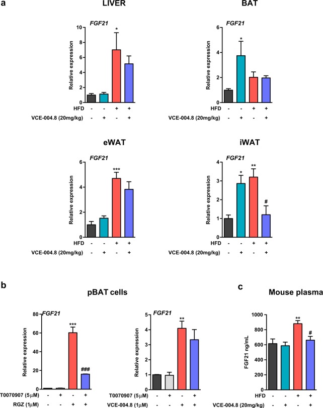 VCE−004.8 modulates the expression of FGF21. (a) FGF21 mRNA levels in the liver, BAT, eWAT and iWAT extracted from control and HFD mice treated or untreated with VCE-004.8. Values correspond to means ± SEM of 5–8 mice per group. (b) FGF21 gene expression in RGZ- or VCE-004.8-treated pBAT cells in the presence and the absence of T0070907. Results represent the mean ± SD (n = 3). (c) FGF21 plasmatic levels were examined using the Mouse FGF21 Quantikine ELISA Kit. Values correspond to means ± SEM of 5–8 mice per group. For (a,c) *P < 0.05, **P < 0.01 and ***P < 0.001 VCE-004.8-treated mice or HFD mice compared to the control mice; #p < 0.05 VCE-004.8-treated HFD mice compared to HFD mice; for (b) **P < 0.01 and ***P < 0.001 RGZ or VCE-004.8 vs. control; ##P < 0.01 RGZ + T0070907 vs. RGZ. Data were assessed by ANOVA followed by Turkey’s test.