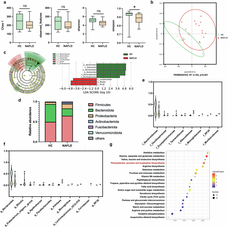 Altered gut microbiota in NAFLD patients.a The microbial richness and diversity in feces of study subjects were depicted according to α-diversity parameters including Chao 1, observed_feature and Shannon and Simpson index. b The β-diversity between HC and NAFLD patients was presented by PCoA plots. c LEfSe analysis and the cladogram diagram showed the microbes with significant differences between HC and NAFLD patients; (d) the differential microbial structure at phylum level between HC and NAFLD patients; Comparison of microbes at (e) family and (f) genus levels; (g) the pathway enrichment analysis was performed based on the predicted functional composition of microbial community. Note: Data were given as median with range. n: (a–g), HC, n = 10 and NAFLD, n = 15. *P < 0.05; ***P < 0.001 compared with HC. HC healthy control, PCoA principal coordinates analysis, LEfSe the linear discriminant analysis effect size.