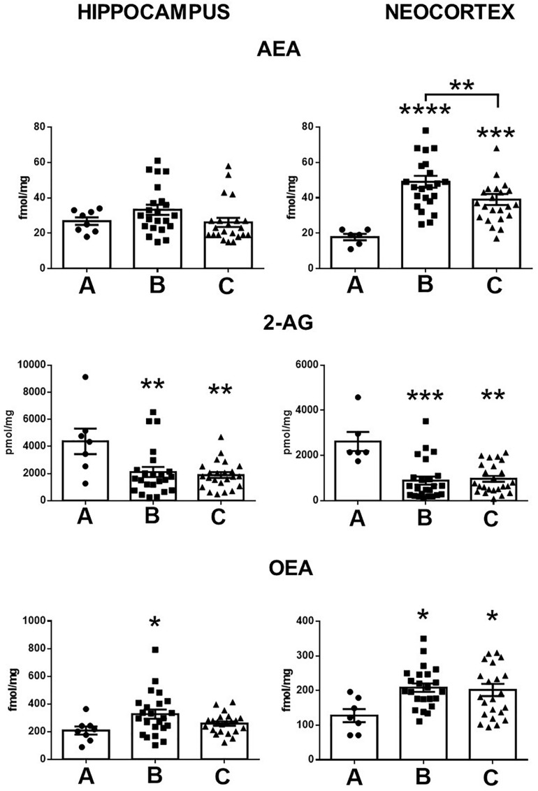 Tissue content of anandamide (AEA), 2-arachidonoylglycerol (2-AG), and oleoylethanolamine (OEA) in the hippocampus and the temporal neocortex of autopsies (A) and patients with mesial temporal lobe epilepsy without (B) and with comorbid anxiety and depression (C). Values are expressed as mean ± SE. *p < 0.05; **p < 0.01; ***p < 0.001; ****p < 0.0001.
