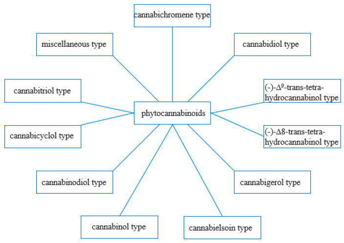 Classes of phytocannabinoids, according to ElSohly M. A. [44].
