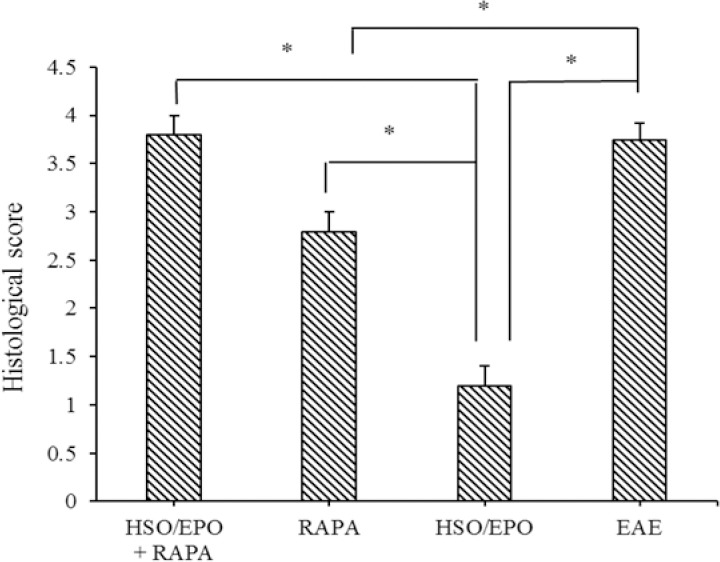 Histological score indicating the degree of inflammation, neuronal and axonal changes and demyelination. Data are presented as mean ± SEM. * Shows significant difference between groups, P ≤ 0.05.