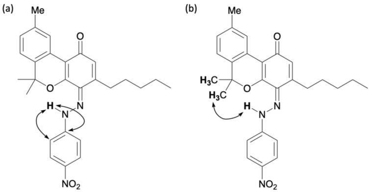 Key correlations for 7: (a) HMBC and (b) NOESY.