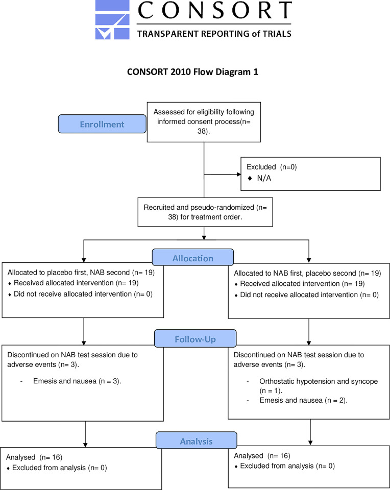 CONSORT (2010) flow diagram.