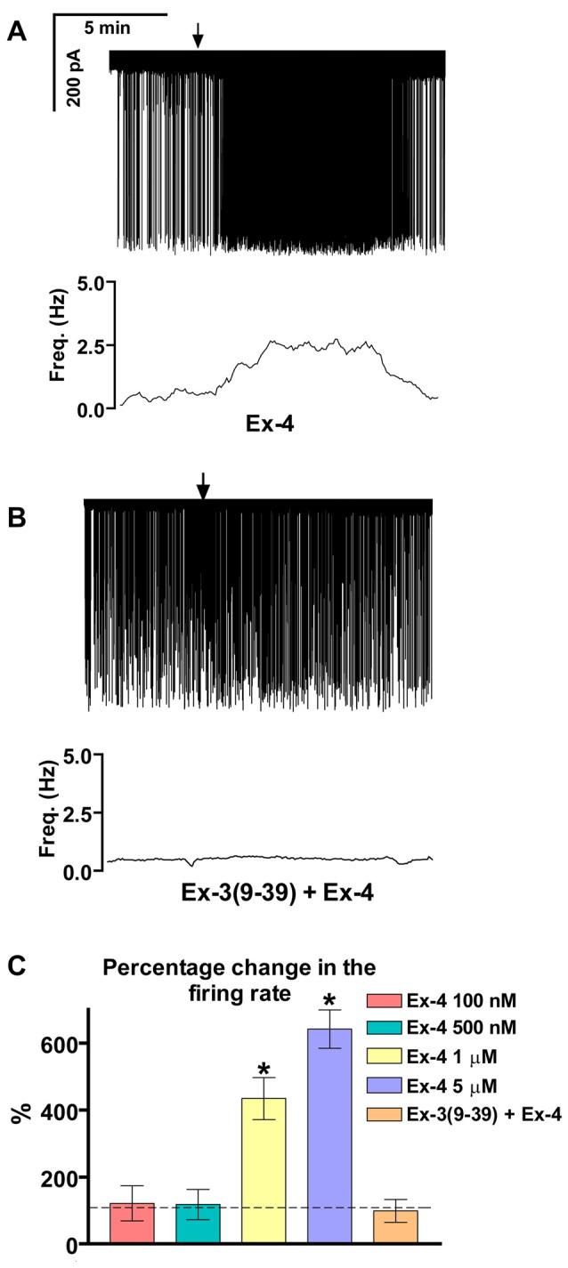 Effect of glucagon-like peptide-1 (GLP-1) agonist Exendin-4 on the firing of gonadotropin-releasing hormone (GnRH) neurons in brain slices of male mice. (A) 1 μM Exendin-4 increases the firing rate in GnRH neurons in 5 min. The frequency distribution graph under the recording also shows this profound change. (B) Pretreatment of the brain slice with the GLP-1 receptor (GLP-1R) antagonist Exendin-3(9–39) (1 μM) inhibits the effect of Exendin-4 on firing. The frequency distribution graph under the recording confirms this observation. (C) Bar graph shows the significant change in the firing rate at 1 and 5 μM, but not at 100 and 500 nM. The graph also demonstrates elimination of the effect upon pretreatment the brain slice with the GLP-1R antagonist. Arrows show application of Exendin-4. *p < 0.05.