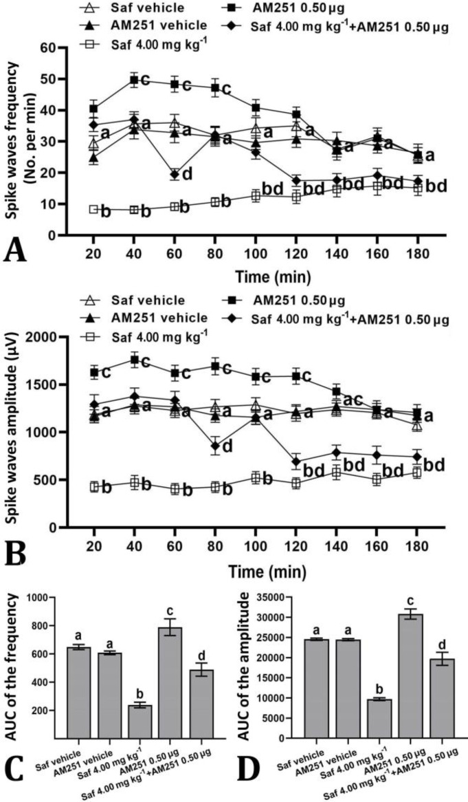 The effect of administration of effective doses of safranal (Saf) and AM251 on the frequency (A) and amplitude (B) of spike waves induced by intra-cortical microinjection of penicillin in rats. Safranal and AM251 were administered 30 and 10 min before injection of penicillin, respectively. Different letters represent significant differences (p < 0.05) for corresponding time-points. Related area under curve (AUC) of the frequency (C) and amplitude (D) of spike waves is shown after microinjection of safranal and its vehicle. Different letters represent significant differences (p < 0.05)