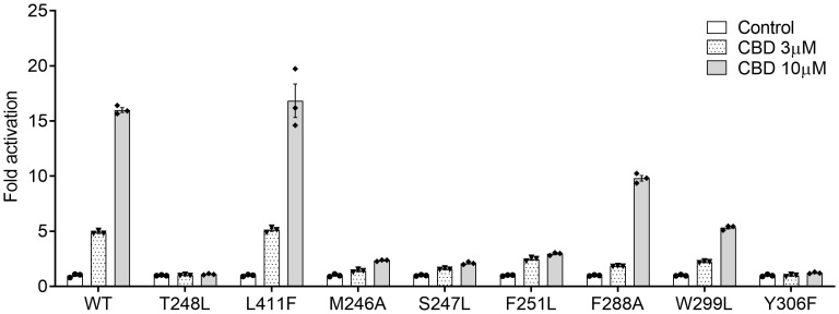 Key residues of PXR LBD required for CBD’s agonistic activity. HepG2 cells were co-transfected with a full-length hPXR WT plasmid or mutant plasmids as indicated, together with CYP3A4-luc reporter and β-gal plasmid. After transfection, cells were treated with control medium or medium containing 3 or 10 μM of CBD for 24 hours. Reporter gene activity was normalized to the β-gal transfection controls and the results were normalized to Relative Light Unit (RLU) per OD420 β-gal per minute to facilitate comparisons between plates. Fold activation was calculated relative to vehicle DMSO controls. Error bars represent ± SEM.
