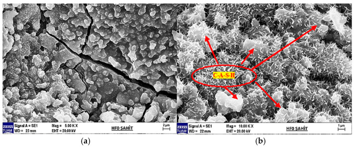 (a) SEM image of the witness sample at 5000× magnification and (b) at 10,000× magnification.