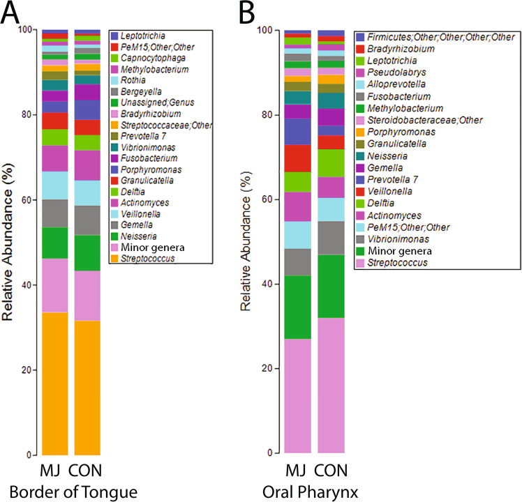 Bar plot of most common genera found at the two mucosal sites in marijuana users and control nonusers.