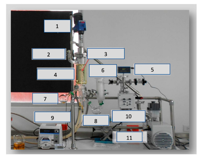 Lab-scale InCon ICL-04A short-path distillation. 1. Mixer; 2. feeding; 3. condenser; 4. evaporator; 5. vacuum gauge; 6. vacuum trap; 7. residue; 8. distilled; 9. peristaltic pump; 10. pump; 11. vacuum pump.