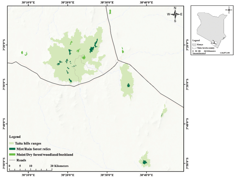 Location of the main Taita Hills blocks and adjacent hills showing the distribution of the forest patches.