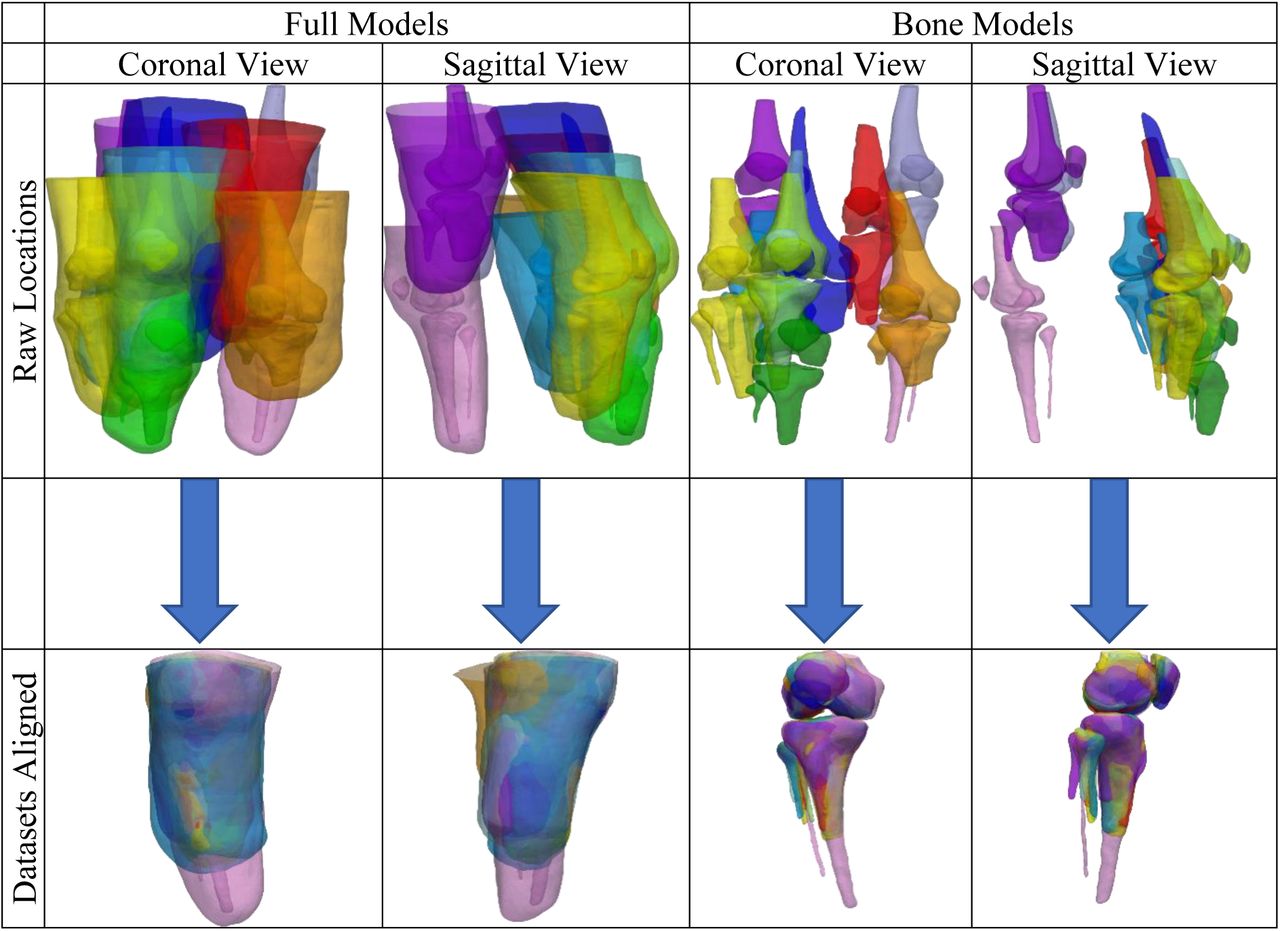 Coronal and sagittal views of the training data (full and bones only) meshes before (top) and after the alignment and trimming were performed (bottom)