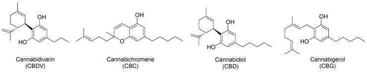 Chemical structures of hemp non-psychoactive cannabinoids.