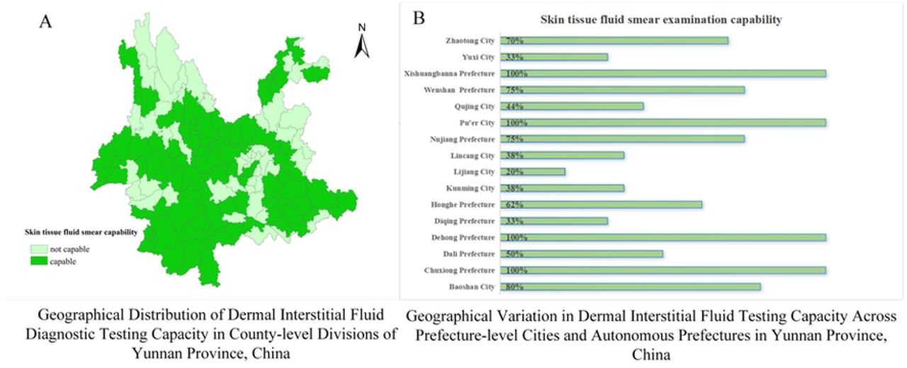 Spatial Distribution of Skin Tissue Fluid Smear Diagnostic Capacity in Yunnan Province
