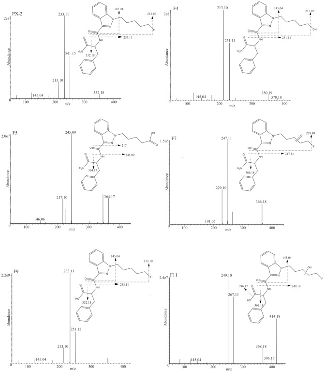 Product ion spectra of PX-2 and its five metabolites with proposed structures and fragmentation patterns