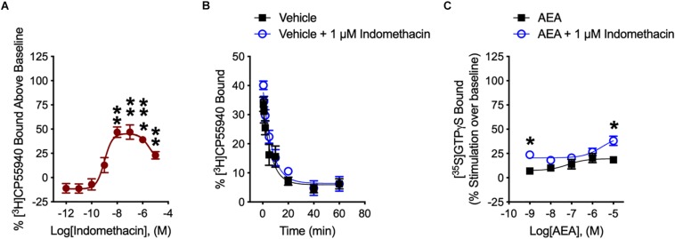 [3H]CP55940 and [35S]GTPγS binding to hCB1R. (A) [3H]CP55940 (0.7 nM) binding to membranes obtained from CHO cells transfected with hCB1R was measured in the presence of indomethacin. Symbols represent mean percentage changes in [3H]CP55940 binding values ± SEM. Asterisks indicate mean values that are significantly different from zero via Student’s one sample t-test (∗∗P < 0.01, ∗∗∗P < 0.001). Data are presented as mean values ± SEM. N = 4–6. (B) Effect of 1 μM indomethacin on the kinetics of [3H]CP55940 for its dissociation from binding sites on membranes obtained from hCB1R CHO cells. Data were best fitted using a one-phase dissociation model. Data are presented as mean values ± SEM. N = 5. (C) The effects of indomethacin on [35S]GTPγS binding in CHO cells expressing hCB1R treated with AEA in the presence of DMSO or 1 μM indomethacin. Asterisks indicate mean values that are significantly different from zero via Student’s one sample t-test (∗P < 0.05). Data are mean ± SEM. N = 5–6.