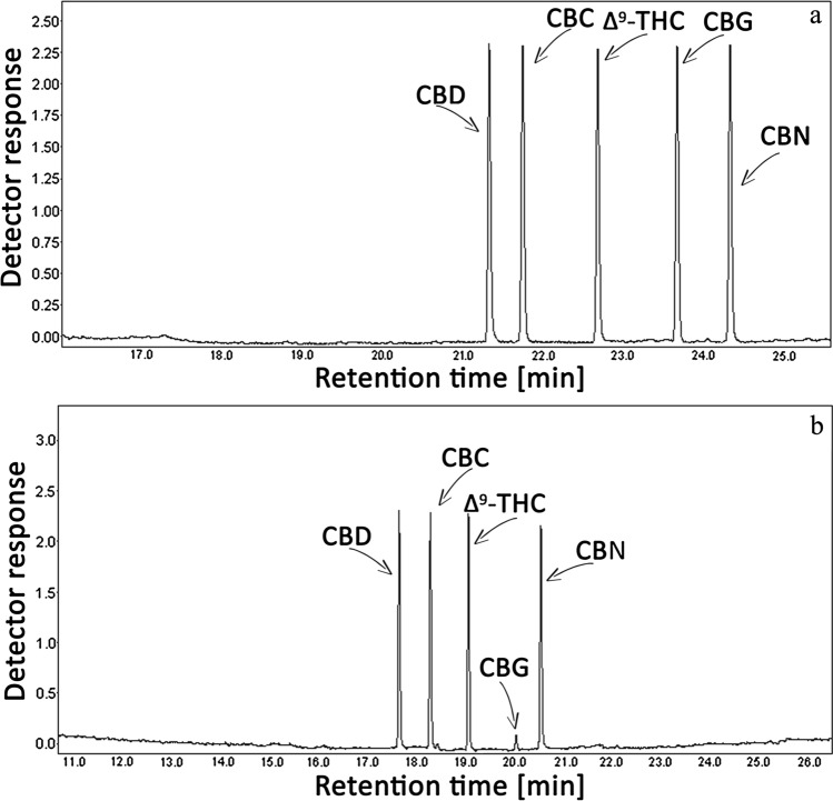 Exemplary chromatogram obtained by GC-FID (a) and total ion current chromatogram (TICC) by GC-MS (b) of CBG, CBD, CBC, Δ9-THC and CBN mixture dissolved in ACN. The molar concentration of each mixture component was the same and amounted 0.5 mM.