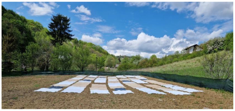 The field experiment with nonwoven fabric mulches.