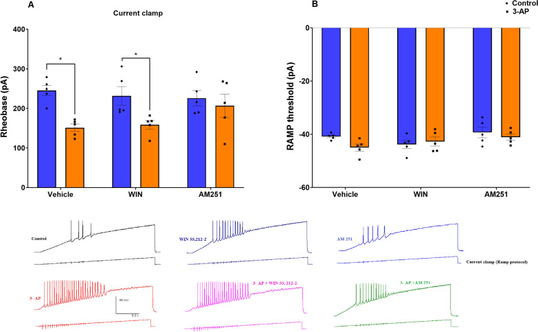 3-AP causes a reduction in rheobase in cerebellar Purkinje cells in current clamp recordings. A Rheobase (current clamp), B RAMP threshold. n = 6 cells/group; one cell from each rat. The data are expressed as mean ± SEM. *(P < 0.05) represent a significant difference with the counterpart group