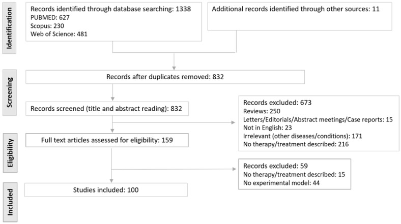 Flow diagram of study search and selection.