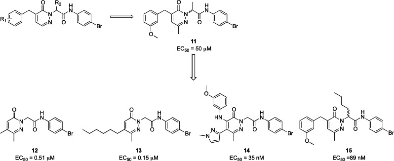 Development of pyridazinone derivatives.