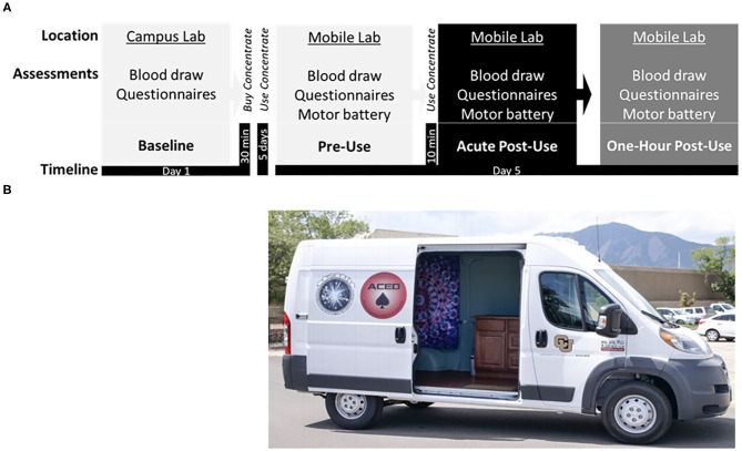 (A) Study timeline displaying the: Baseline session at the campus lab, followed by purchase of cannabis concentrate (70 or 90% THC) at a local dispensary, ~5 days of ad libitum use, and the subsequent Experimental session in the mobile lab, including the pre-concentrate use (Pre-Use) timepoint followed by in-home participant ad libitum use of concentrate, and two post-concentrate use timepoints (Acute Post-Use and 1 h Post-Use). (B) Photograph of the Mobile Lab, a high-top cargo van retrofitted with a Wi-Fi hotspot, hand rail and stair step, ice cooler, electrical outlets, a reclining phlebotomy chair, sterile equipment, and a chair/table for motor testing.