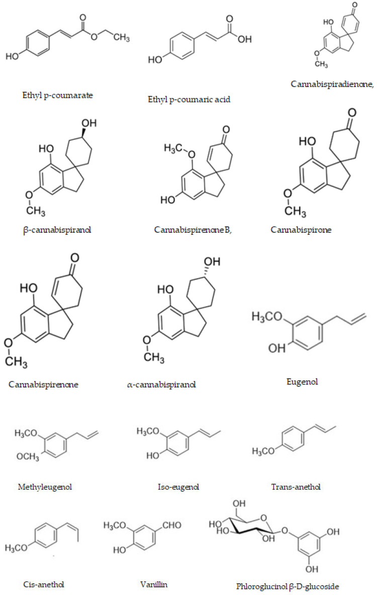 Phenols found in C. sativa.