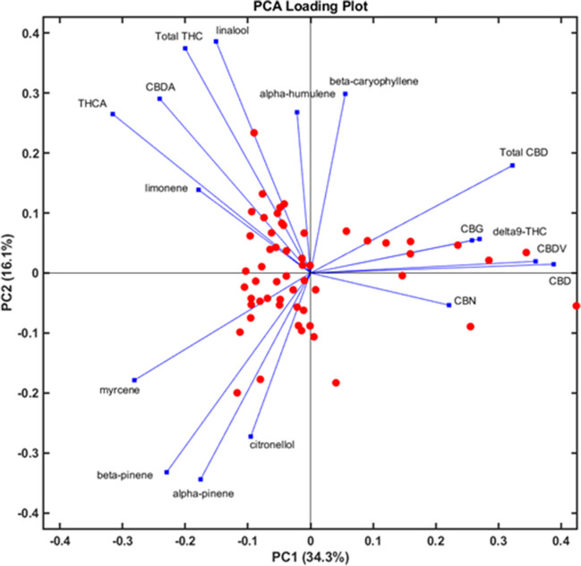 Loading plot after PCA of 55 C. sativa samples. Vectors in blue indicate the directionality and influence of the variables, and red dots represent individual C. sativa samples