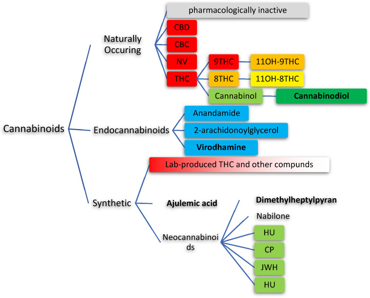Division of cannabinoids depending on the source with color-coded psychoactive potency (red: most present, yellow: less present, green: not present; blue: endocannabinoids).