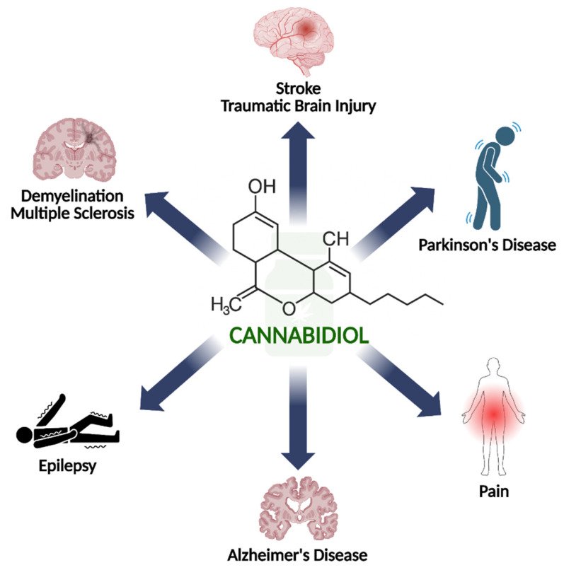 The application of cannabidiol in various neurological disorders reviewed in the article. Created in BioRender. Bialon, M. (2026) https://BioRender.com/t4plwbj.