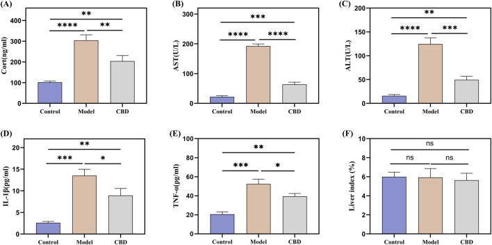 Effect of stress on serum CORT, TNF-α, IL-1β, AST and ALT levels in mice. (A) Changes in serum levels of CORT in mice in response to stress; (B, C) Changes in serum levels of AST and ALT in mice in response to stress; (D, E) Effect of stress on serum contents of pro-inflammatory factors TNF-α and IL-1β in mice; (F) Liver index in each group of mice. Mean ± SEM. n = 10. *p < 0.05, **p < 0.01, ***p < 0.001, ****p < 0.001.
