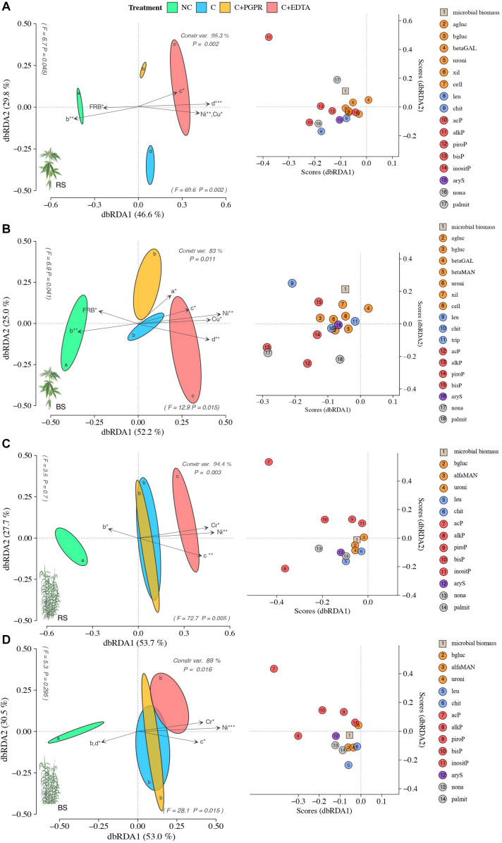 Distance-based redundancy analysis (dbRDA) plots showing shifts in enzyme activities of RS (A,C) and BS (B,D) of hemp (A,B) and giant reed (C,D) among treatments. Arrow indicates environmental variables with significance level (* < 0.05, ** < 0.001, *** < 0.001). Species scores corresponding to the dbRDA plots (coordinates for enzymes included in model) are reported in the scatter plots on the right. Letters within ellipses denote significant differences (Bonferroni’s test, P = 0.05) in EA similarity matrices among fertilizers as assessed by permutational multivariate analysis of variance (PERMANOVA).