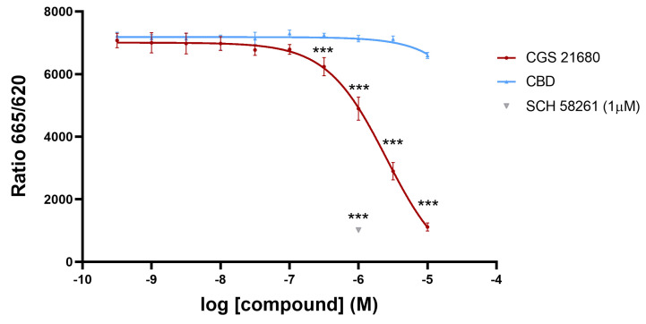 HTRF-based assays. Competition curve of specific binding of 20 nM SCH 442416 derivative labeled with a red emitting HTRF fluorescent with increasing concentrations of CGS 21680 or CBD. The single point in grey corresponds to the ratio corresponding to 20 nM labeled receptor ligand in the presence of 1 µM SCH 58261, a selective A2A receptor antagonist (this value serves to define which is the maximal reduction in ratio achieved by a selective competitor). Data are the mean ± SEM of a representative experiment (n = 4). HTRF ratio = 665 nm acceptor signal/620 nm donor signal ×10,000. Inferential statistical analysis was conducted using the Student’s t-test to assess significant differences between groups. *** p < 0.001 versus CBD condition.