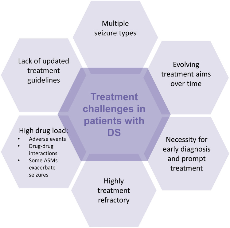 Treatment challenges in patients with Dravet syndrome (DS). ASMs anti-seizure medications