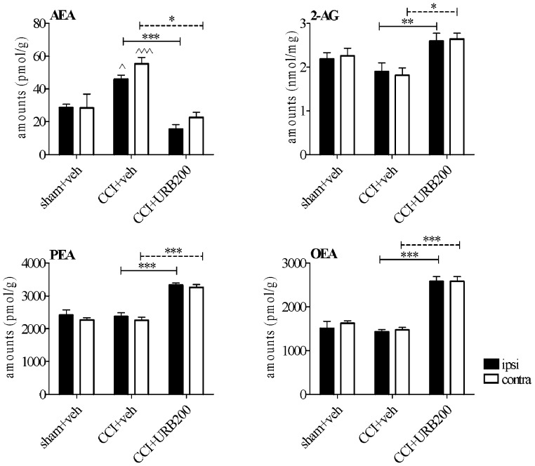 LC-MS analysis of anandamide (AEA),2-arachidonoylglycerol(2-AG), palmitoylethanolamide (PEA) and oleoylethanolamide (OEA) in the ipsilateral (black bars) and contralateral (open bars) parts of the lumbar spinal cords of sham-operated and CCI rats in response to pharmacological modulation of its endogenous levels evoked by URB597 (200 µg) administration.Experiments were conducted 7 days after the CCI.URB597 was given i.t. in a volume of 10 µl. Data are means ± SEM of n = 6 rats. Means were compared by two-way ANOVA with side and treatment as a variable factors with Bonferroni as post test. ∧p<0.05; ∧∧∧p<0.001 versus sham-operated, vehicle (veh) injected group, *p<0.05; **p<0.01 and ***p<0.001 versus CCI, veh injected rats.